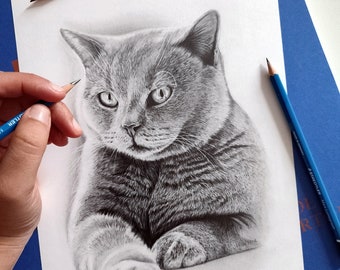 Custom Pet Realistic Portrait Cat drawing from photo Original sketchgraphite on paper commission physical sketch british shorthair art