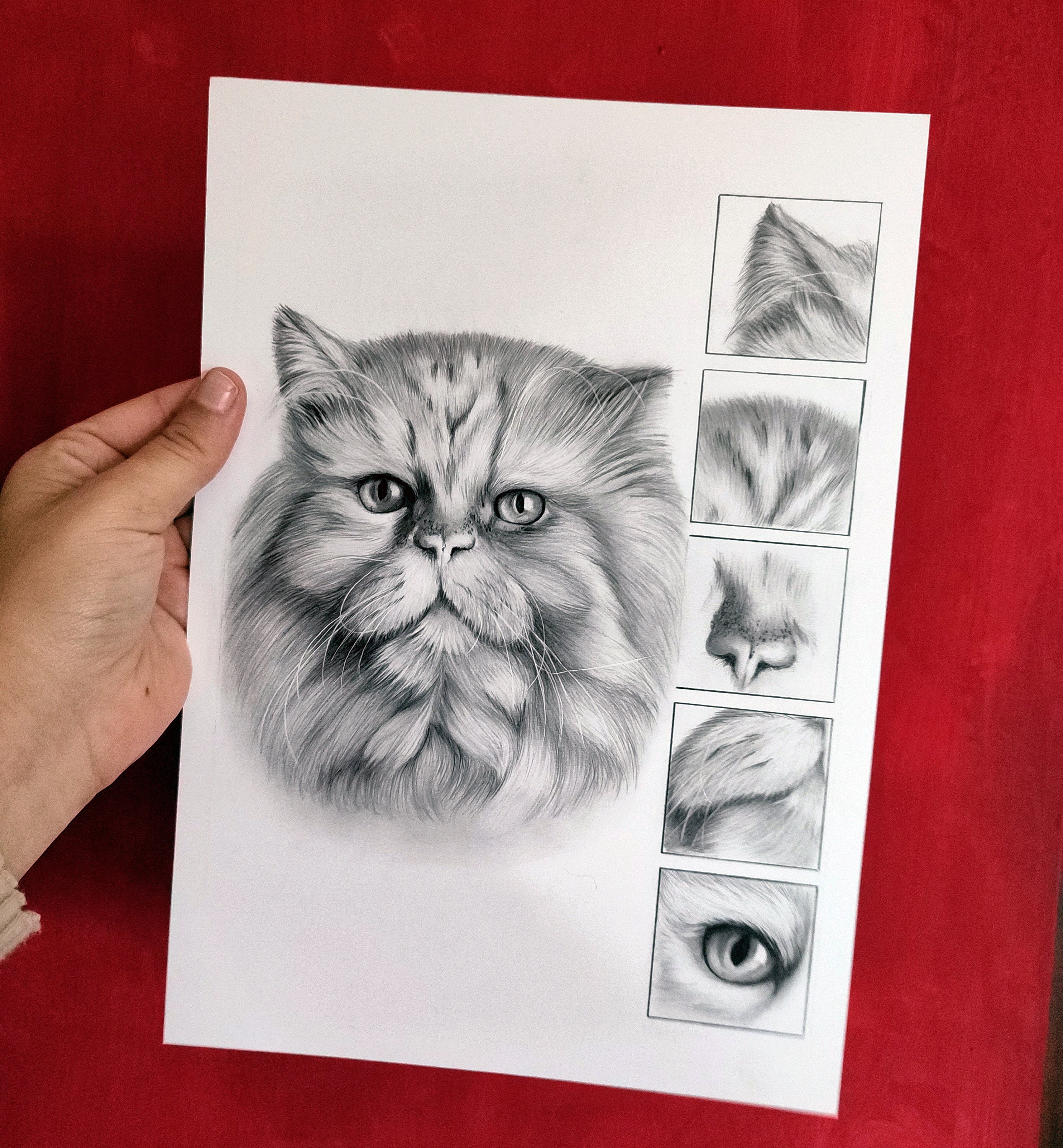 手作りのカスタムペットの肖像画：写真から鉛筆で描く - Etsy 日本