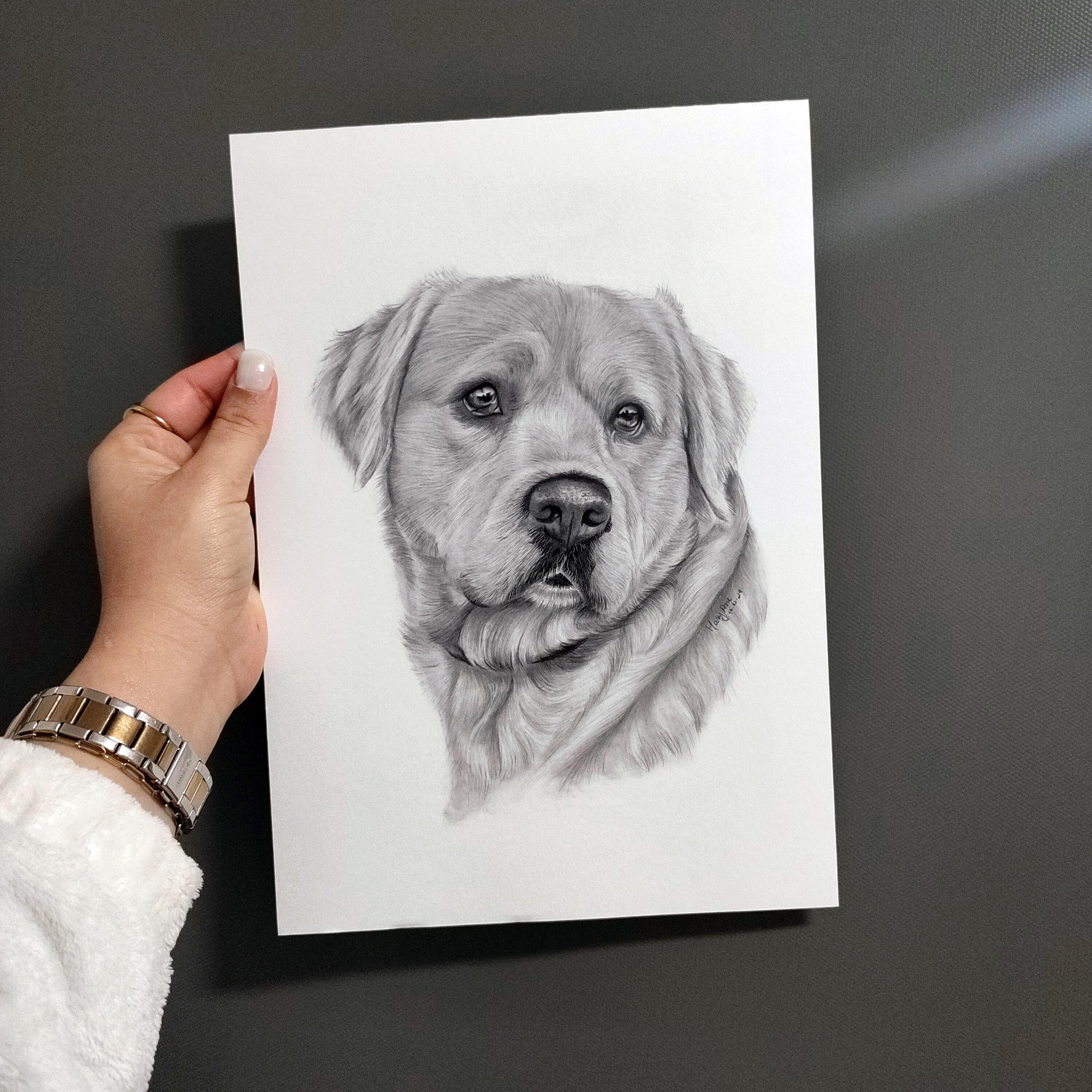 Custom Pet Portrait Labrador Golden Retriever Black and white drawing from photo Original graphite on paper commission physical art dog