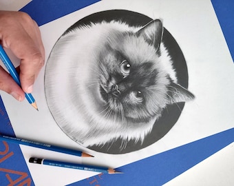 Ritratto realistico di un animale domestico personalizzato Gatto in bianco e nero disegno da foto Grafite originale su carta su commissione, arte fisica tradizionale siamese