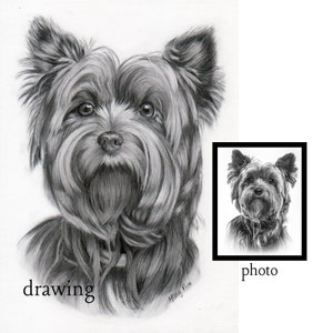 Ritratto di animali domestici personalizzato fatto a mano, arte tradizionale di cani e gatti, grafite su carta, perdita di animali domestici, arte commemorativa di animali domestici, belle arti in bianco e nero