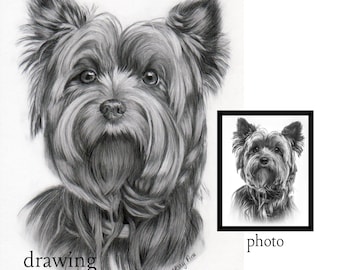 Custom Handmade drawing portrait of pets, Cat and Dog art traditional graphite on paper, pet loss, memorial pet art, black and white fineart