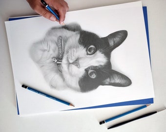 Custom Pet Realistic Portrait Cat drawing from photo Original sketchgraphite on paper commission physical sketch tuxedo kitty art