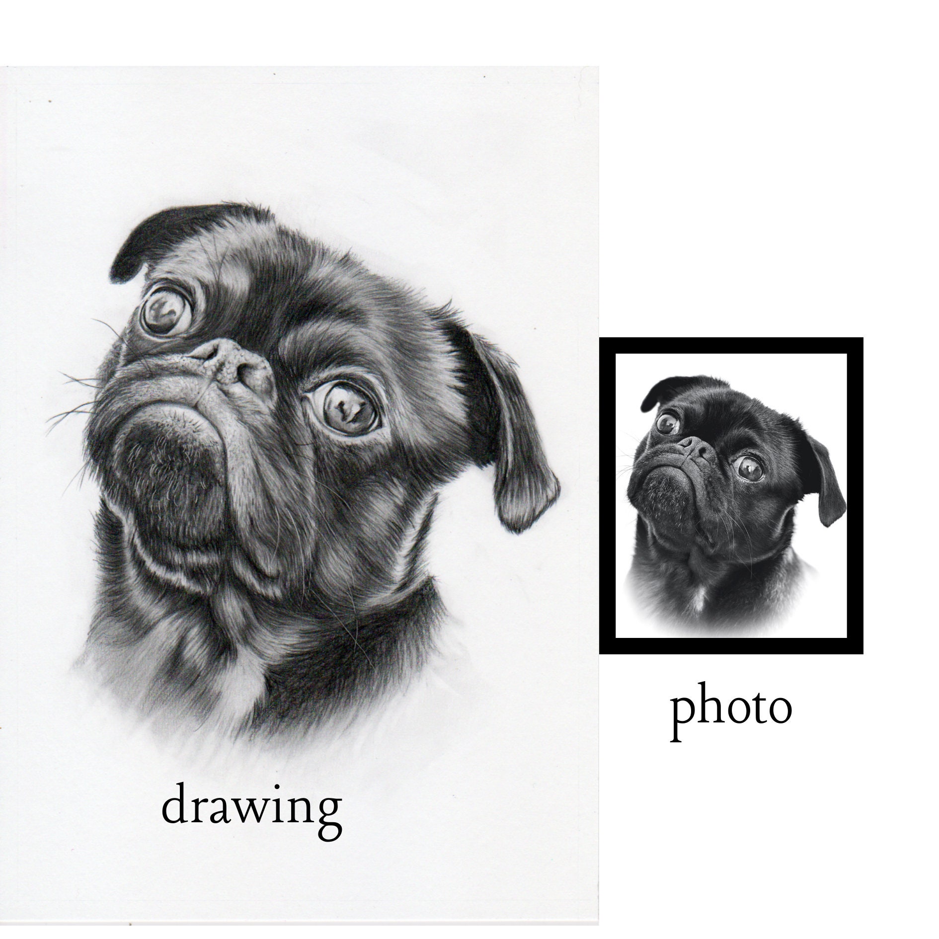 Custom Handmade Drawing Portrait of Pets, Cat and Dog Art Traditional