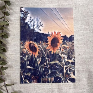 Postkarte Sonnenblumen | Grußkarte | Sommer Postkarte | Freundschaftskarte | Florale Geburtstagskarte | Einzelpostkarte | Kunstdruck