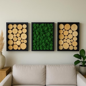 Reindeer Moss Wall Art Triptych Set of 3 Preserved Moss Decor Eco-Friendly Living Room or Office Wall Hanging Handmade Natural Wood Frames