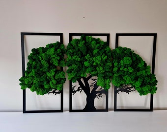 Arte da parete con muschio stabilizzato | Decorazioni per set da parete | Tre pezzi | Decorazione naturale per ufficio | Regalo adorabile verde | Trittico del giardino botanico verticale