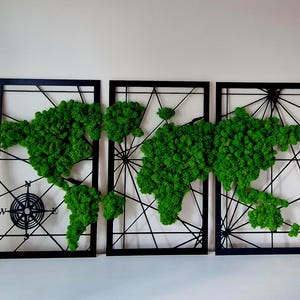 Mappa del mondo con muschio Decorazione per la casa Trittico botanico 3 pezzi