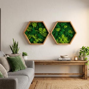 Sechseck Moosbild gerahmt, Waben Islandmoos Wanddeko, Geometrisches Moos Set, Modulare Wandkunst Natur, Dekoration für Bad ohne Licht