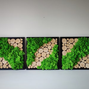 Könnte beinhalten: Drei quadratische gerahmte Wandbilder mit schwarzem Rahmen und einem Design aus grünem Moos und Holz.