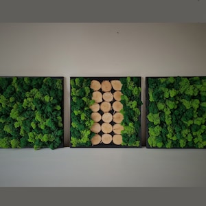 Moss Reindeer arrangement Preserved Moss Wall Art Vertical Modern Garden Home Picture Lovely Gift Triptych 3 piece Wooden decoration Mossy