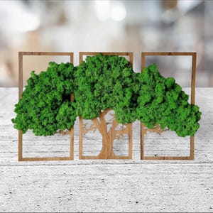 以下が含まれることがあります： 木製のフレームに緑の苔の樹のデザインが施された、3ピースの壁飾りセット。木は保存された苔で作られており、自然で有機的な外観をしています。