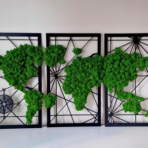 Hochwertige Wandkunst aus natürlichem Moos | Biophile Heimdekoration | Umweltfreundliche Wohnkunst | Botanische Moos-Weltkarte| Triptychon 3-teilig Schönes Geschenk