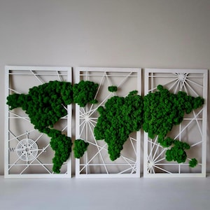 Moos-Triptychon-Weltkarten-Wandkunst-Set, botanisches Weltkarten-Triptychon mit Moos-Akzenten, erdiges Moos-Weltkarten-Triptychon-Wanddekor