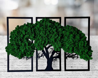 Preserved Moss Wall Art Wall Sets Decor 3 pieces Natural Office Decoration Green Lovely Gift for Triptych Moss Picture Painting Image Nature