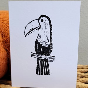 Keel-billed Toucan cards