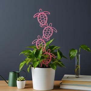 May include: A white potted plant with bright green leaves and pink turtle-shaped plant stakes. A small succulent in a white pot and a green watering can are on the left. A glass vase with a plant is on the right.