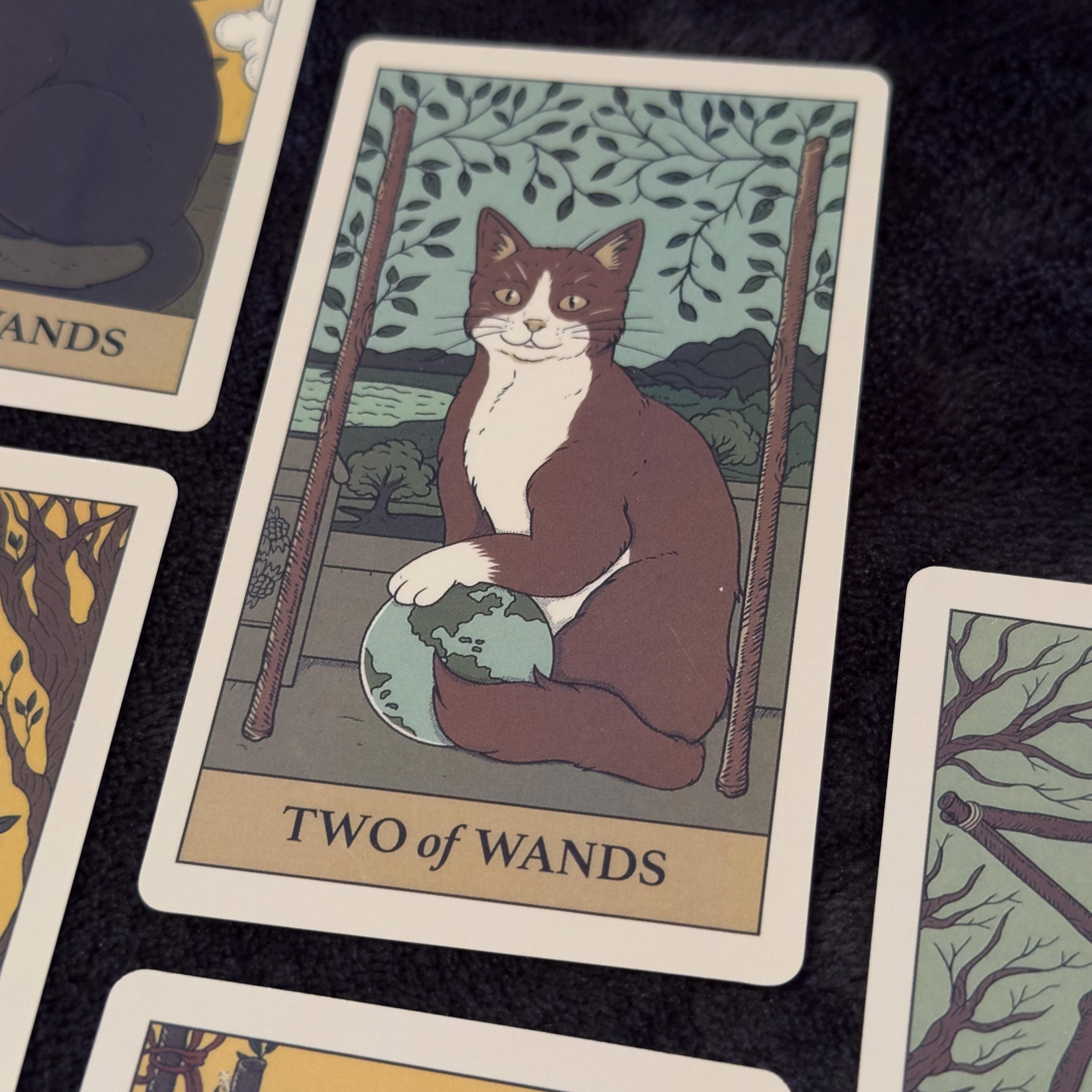Cats Rule the Earth Tarot Deck | Vintage Cat Tarot Cards | 78 Card Set ...