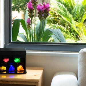 Puede incluir: Una vitrina negra con seis piedras preciosas iluminadas en varios colores, incluyendo rosa, verde, amarillo, azul y naranja. La vitrina est&aacute; sobre una mesa de madera cerca de una ventana con vistas a exuberante vegetaci&oacute;n y flores rosas.