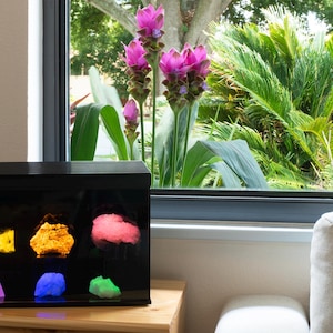 May include: A black display case with a glass front, showcasing colorful, glowing, resin-like objects. The case is sitting on a wooden table in front of a window with a view of green plants.