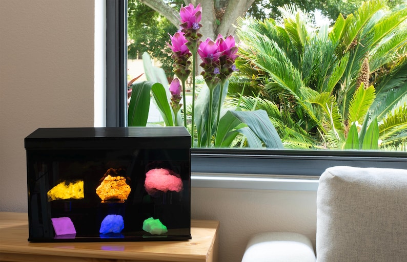 May include: A black display case with a glass front, showcasing colorful, glowing, resin-like objects. The case is sitting on a wooden table in front of a window with a view of green plants.
