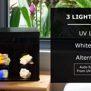 365nm UV GloBox® Fluorescent Mineral Display Case | UV Mineral Display | Yooperlite Display | UV Reactive Display image 3