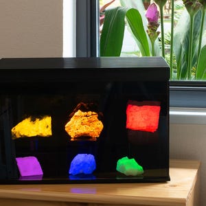 Op de afbeelding: Een zwarte vitrine met zes verlichte mineraalmonsters. De mineralen zijn in verschillende kleuren, waaronder geel, oranje, rood, paars, blauw en groen. De vitrine staat op een houten oppervlak, met een raam en groen op de achtergrond.