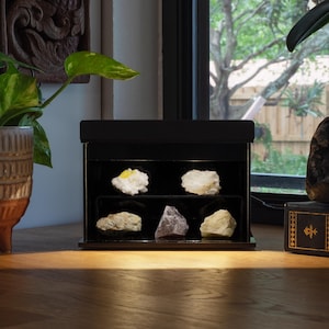 Puede incluir: Una vitrina negra con seis espec&iacute;menes minerales diferentes iluminados por una peque&ntilde;a luz. Los minerales son blancos, amarillos y morados. Tambi&eacute;n se ven una planta en maceta y una roca decorativa.