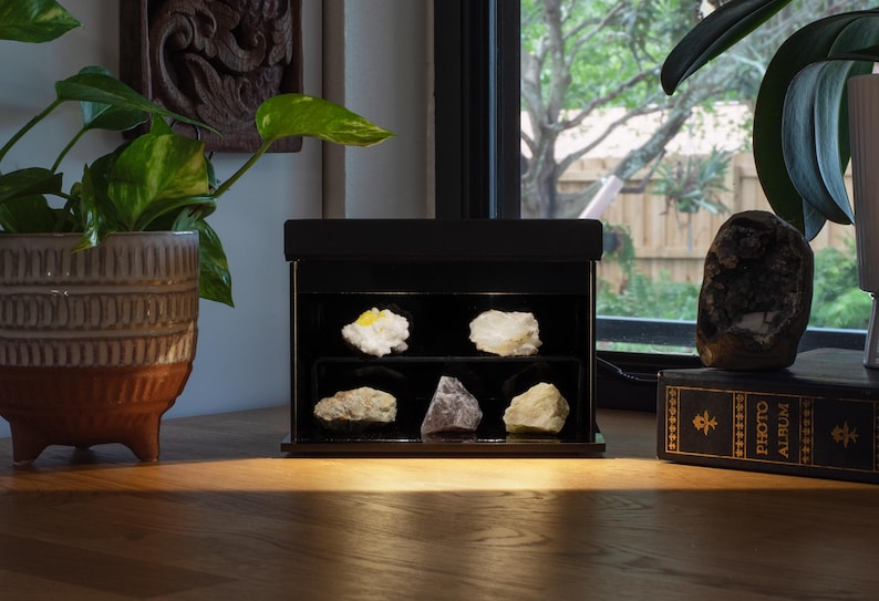 Puede incluir: Una vitrina negra con seis espec&iacute;menes minerales diferentes iluminados por una peque&ntilde;a luz. Los minerales son blancos, amarillos y morados. Tambi&eacute;n se ven una planta en maceta y una roca decorativa.