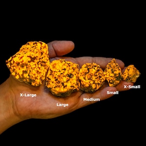 May include: Five fluorescent mineral specimens with a bright orange glow and dark matrix, labeled by size from X-Large to X-Small. The rocks exhibit a crystalline texture and vibrant luminescence against a black background, showing varying sizes.