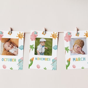 May include: Three white photo cards with colourful dinosaur and sun illustrations. Each card has a photo of a baby in a different month: October, November, and March.