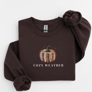 Cozy Season Books Lover Fall Sweatshirt Gift, Women&#39;s Pumpkin Season Sweatshirt, Cute Pumpkin Sweater, Reading Autumn Sweatshirt