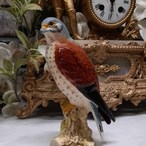 Può includere: Una statuetta in porcellana raffigurante un falco appollaiato su un tronco d'albero strutturato. L'uccello presenta una testa grigia, un dorso bruno-rossastro con punte delle ali scure e un petto color crema con segni marroni.