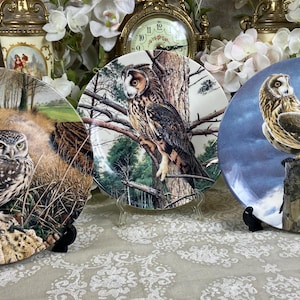 Vintage  Wedgwood Collectable plates
