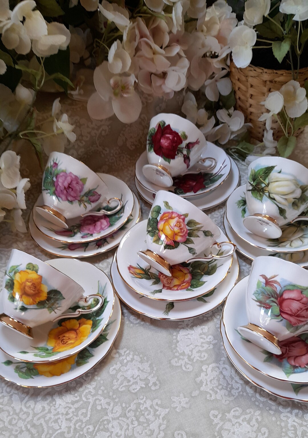 パラゴン「Six World Famous Roses」のティートリオ