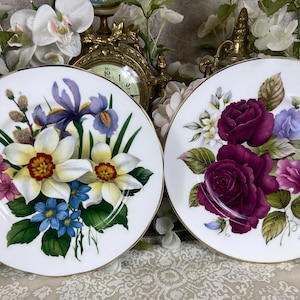 Vintage Collectable plates