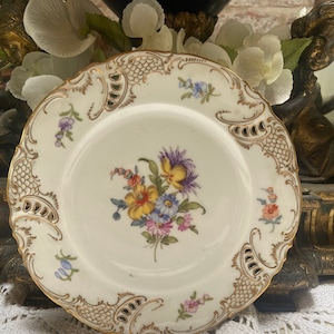 An Antique Nymphenburg collectable desert plate. Circa 1802
