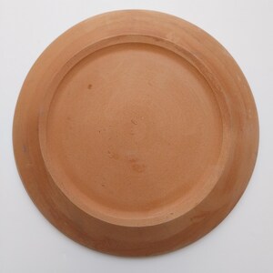 May include: A terracotta plate with a smooth, slightly textured surface. The plate is round and has a slightly raised rim.