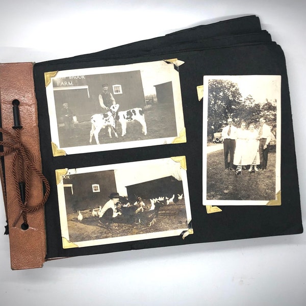 Black and White Photographs | Album Pages | 5 Pages of OLD Black and White Pictures | Early 1900's Vintage Photos