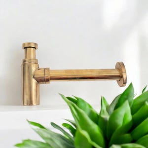 Puede incluir: Un sifón de lavabo de color dorado se muestra sobre un fondo blanco. El sifón tiene un diseño cilíndrico con una sección horizontal que se extiende hacia la derecha. Hojas verdes en primer plano añaden un toque natural.