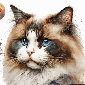 Ragdoll Cat "Purr-fectly Adorable" Instant Download for Cat lovers, Available for Canvas, Poster or Frame Pictures