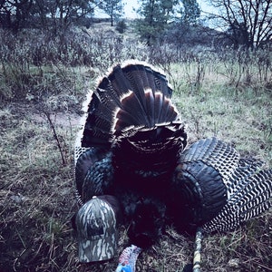 Lucky Camo Trucker Hat Mossy Oak Bottomland Turkey Hunting image 8