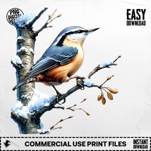 May include: A digital illustration of a nuthatch bird perched on a snow-covered branch. The bird features blue, tan, and white plumage. The branch is part of a tree trunk. The image includes the text "PNG DIGITAL FILES" and "COMMERCIAL USE PRINT FILES".