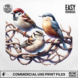 May include: Digital illustration of three colourful birds perched on a brown, intertwined branch. The birds feature shades of red, blue, brown, and white. The image includes the text "PNG DIGITAL DESIGN", "EASY DOWNLOAD", and "COMMERCIAL USE PRINT FILES".
