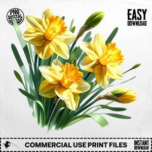 Daffodil Digital Download PNG, Yellow Flower Digital, Floral Design, Springtime Art Print, Printable Wall Art, Digital Graphics, Clipart