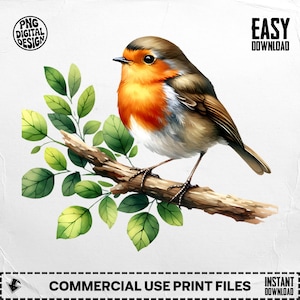 Watercolor Robin Bird Digital Download: Songbird Clipart PNG