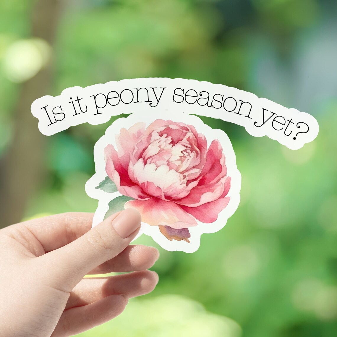 Peony Sticker, Botanical Stickers, Flower Sticker, Peonies, Journal ...