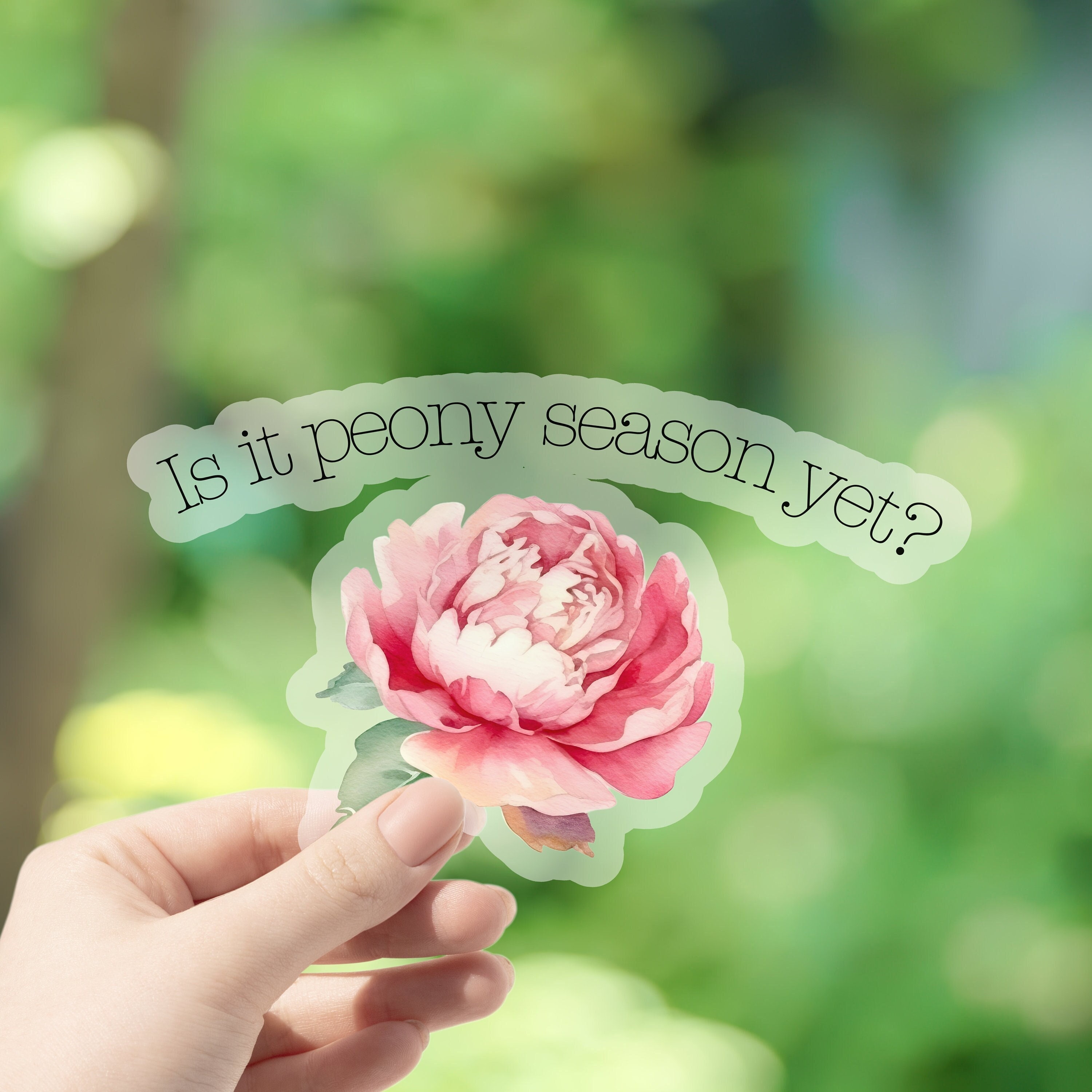 Peony Sticker, Botanical Stickers, Flower Sticker, Peonies, Journal ...