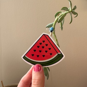 Heart Watermelon Sticker - Cute - Water Bottle Sticker - Laptop Sticker
