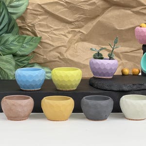 May include: A collection of ten small, geometric planters in various colors, including light blue, yellow, brown, gray, and white. The planters are made of concrete and have a textured, geometric design.